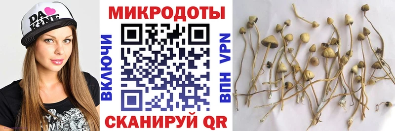 закладки  Октябрьский  Псилоцибиновые грибы прущие грибы 