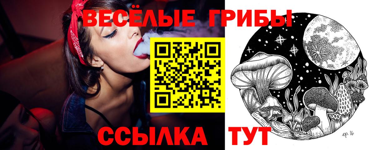 Галлюциногенные грибы GOLDEN TEACHER Октябрьский
